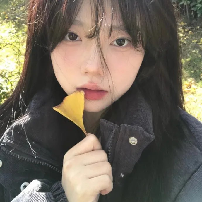 外星人之谜